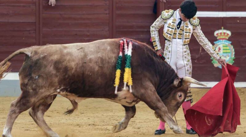 Villaseca convoca el “VIII Certamen Alfarero de Plata” para novilleros sin picadores