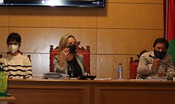 alcaldesa en el pleno de Seseña Busca su desarrollo como ciudad