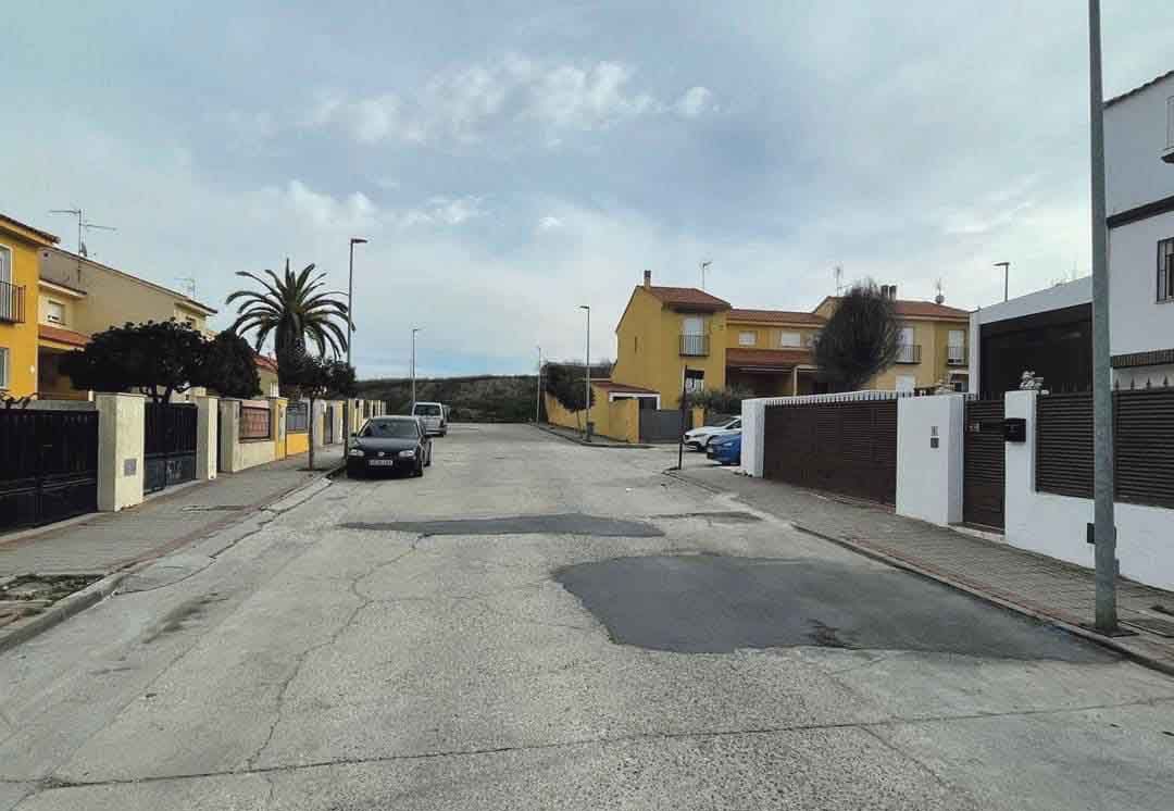 esquivias pintor rosales IMG_5997