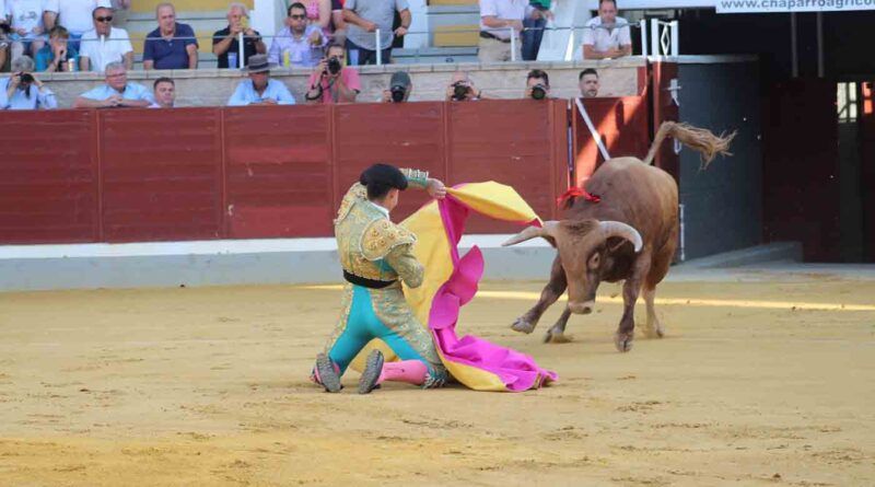 Gran final del certamen taurino “Alfarero de Plata” en Villaseca de la Sagra