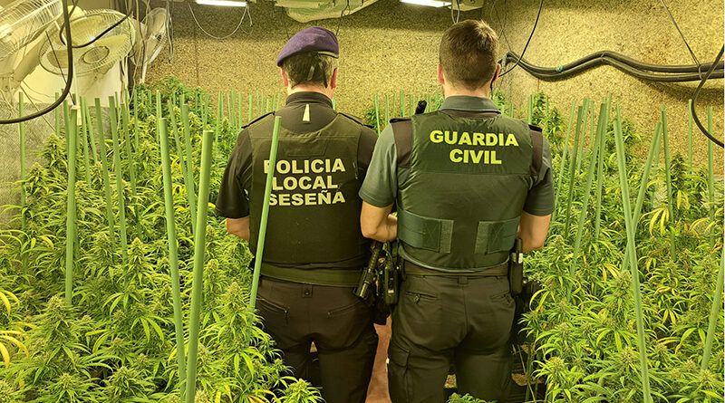 Dos detenidos en una plantación de marihuana