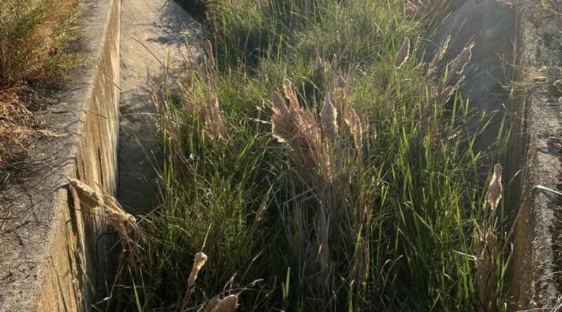 Magán reclama la limpieza del arroyo Puchereros, ante la previsión de fuertes lluvias en los próximos meses de invierno.