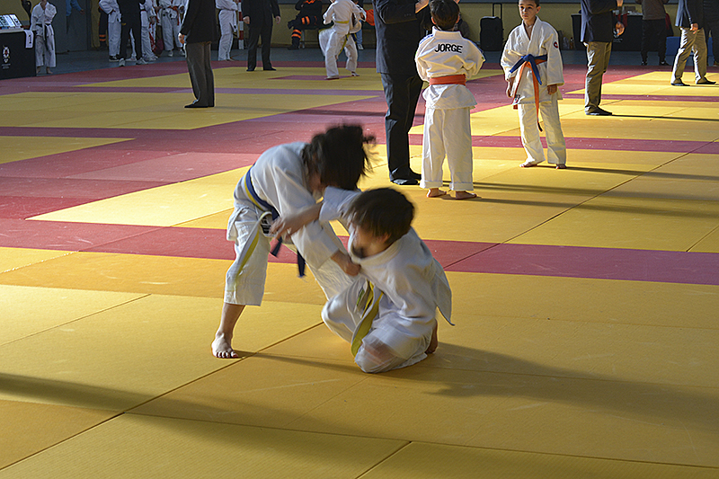 Campeonato de Judo de Cubas (20)