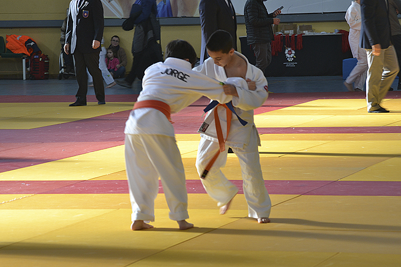 Campeonato de Judo de Cubas (21)
