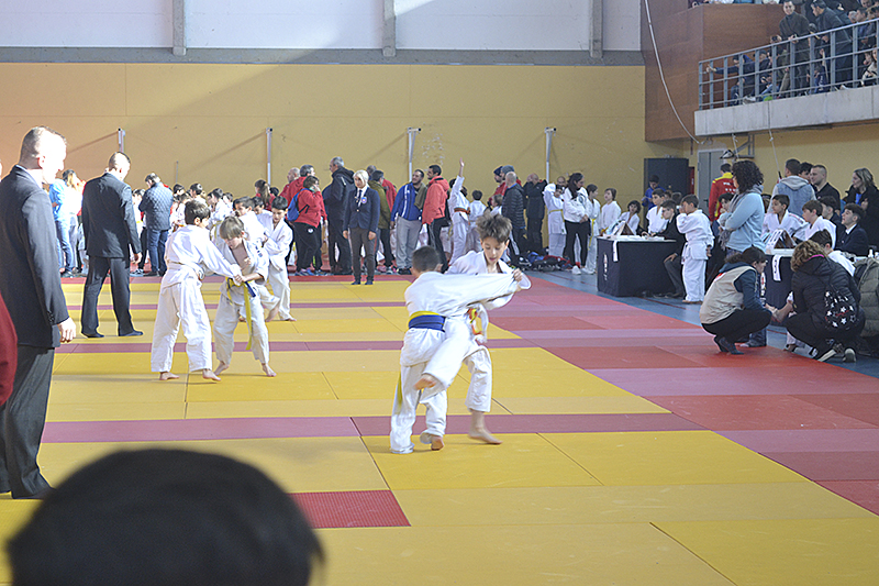 Campeonato de Judo de Cubas (26)