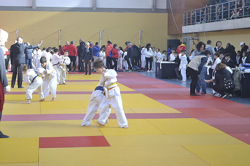 Campeonato de Judo de Cubas (27)