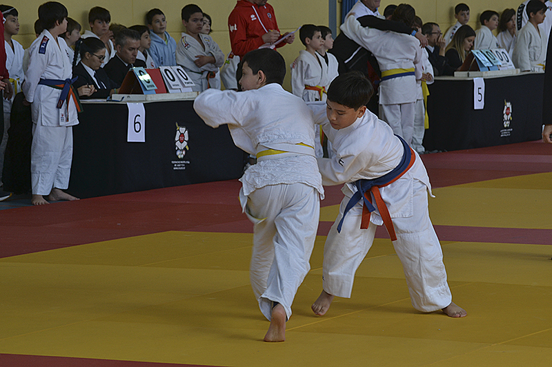 Campeonato de Judo de Cubas (54)