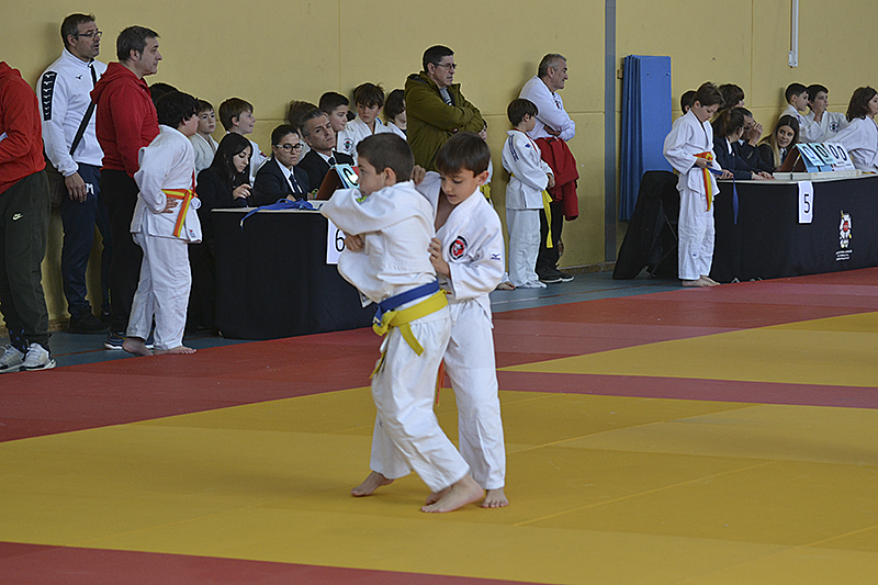 Campeonato de Judo de Cubas (58)