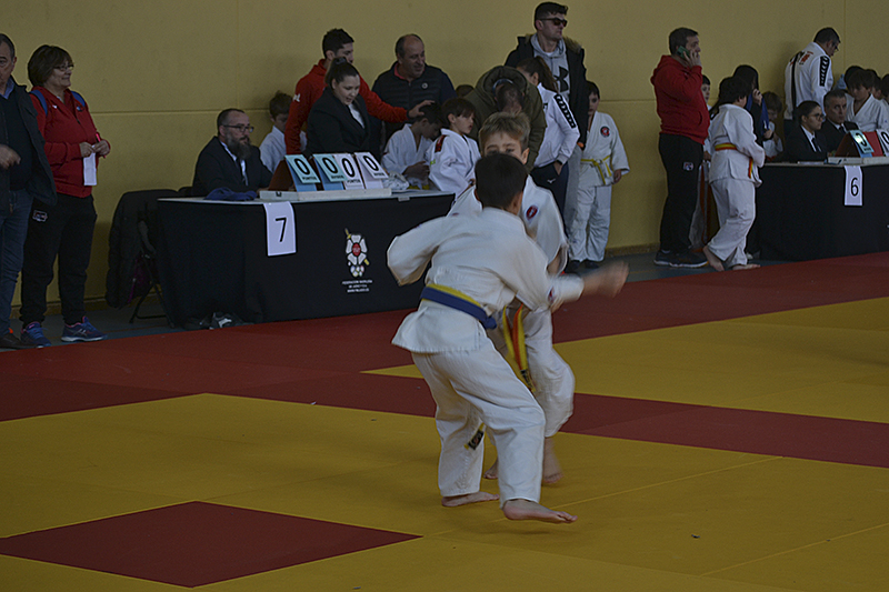 Campeonato de Judo de Cubas (59)
