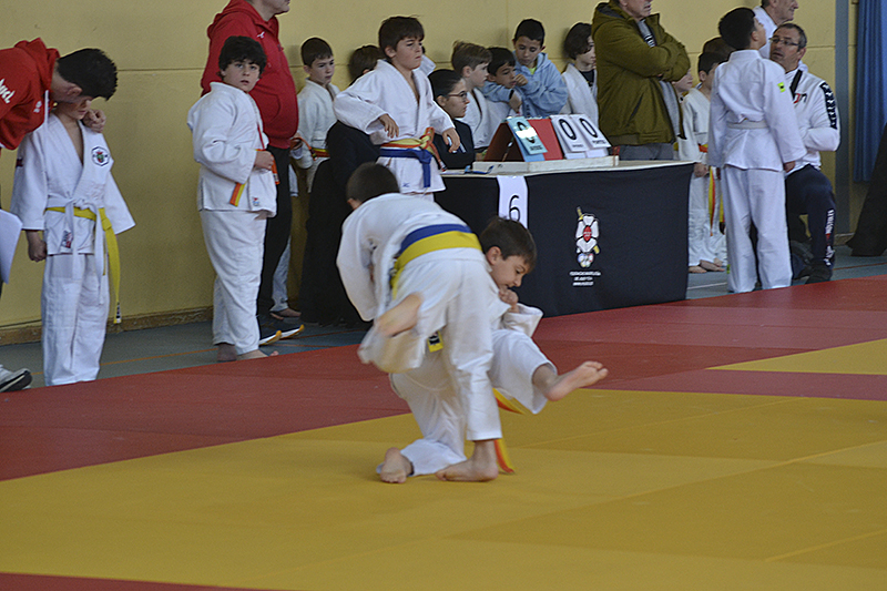 Campeonato de Judo de Cubas (60)