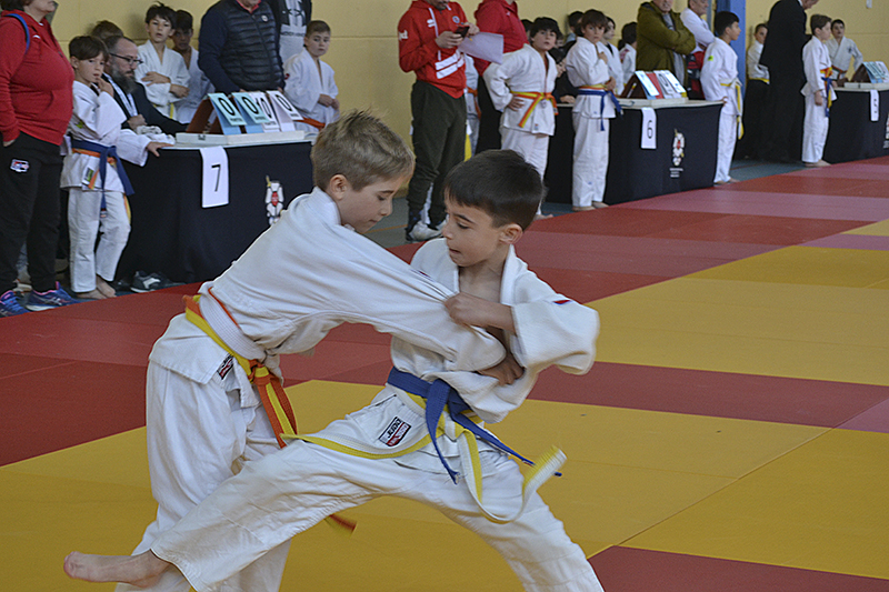 Campeonato de Judo de Cubas (62)