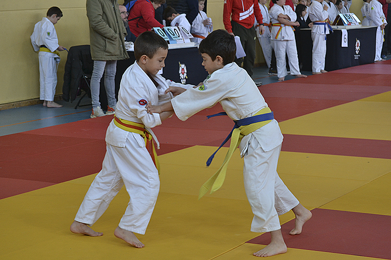 Campeonato de Judo de Cubas (63)