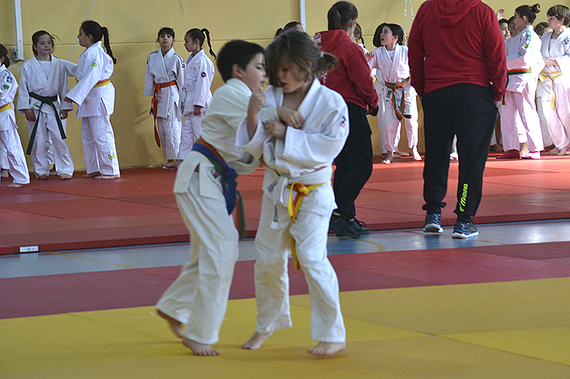 Campeonato de Judo de Cubas (69)