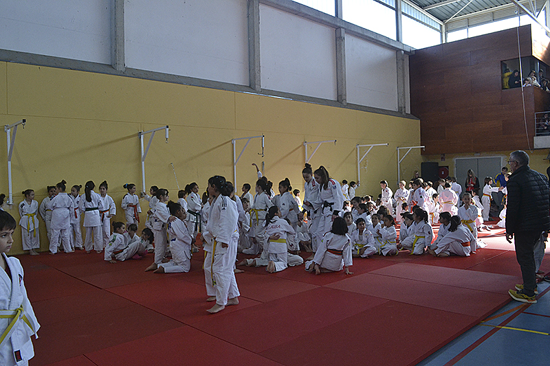 Campeonato de Judo de Cubas (72)