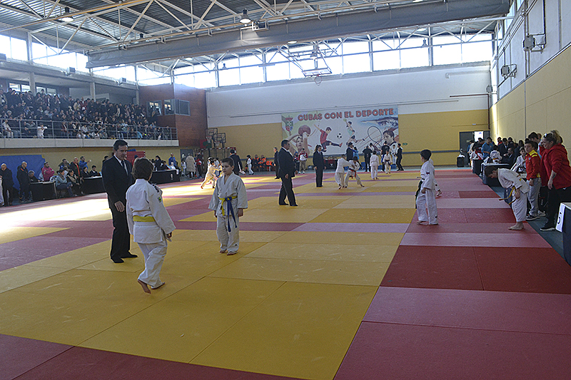 Campeonato de Judo de Cubas (73)