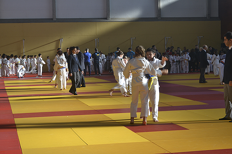 Campeonato de Judo de Cubas (8)