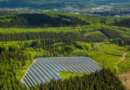 Aclaración y realidad de los proyectos fotovoltaicos en Yeles y Esquivias de grupo Édora