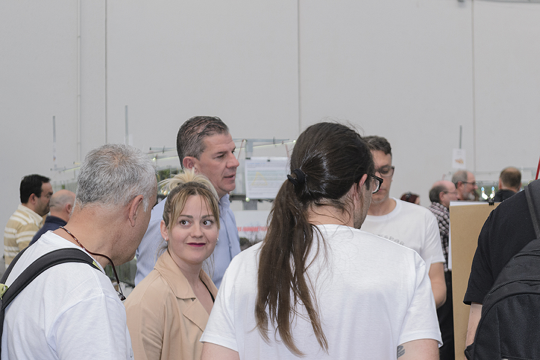 DSC_0051 Exposición de peces Killis en Cubas de la Sagra