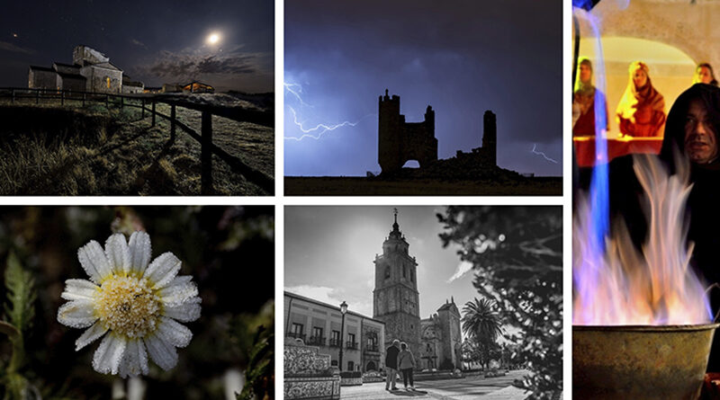 las aves de la provincia de Toledo, temática del concurso de fotografía