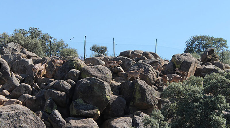 Finca El Borril