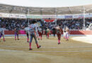 El XXIII Certamen de Novilladas Alfarero de Oro Feria 2023” llega a Villaseca de la Sagra. En sus más de dos décadas en su apuesta por la promoción de la fiesta de los toros, han desfilado desde sus inicios los novilleros con más proyección del escalafón, actuales matadores de toros.