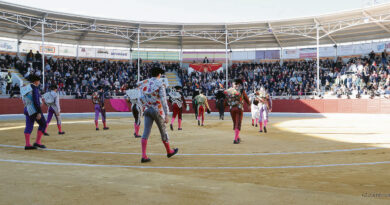 El XXIII Certamen de Novilladas Alfarero de Oro Feria 2023” llega a Villaseca de la Sagra. En sus más de dos décadas en su apuesta por la promoción de la fiesta de los toros, han desfilado desde sus inicios los novilleros con más proyección del escalafón, actuales matadores de toros.