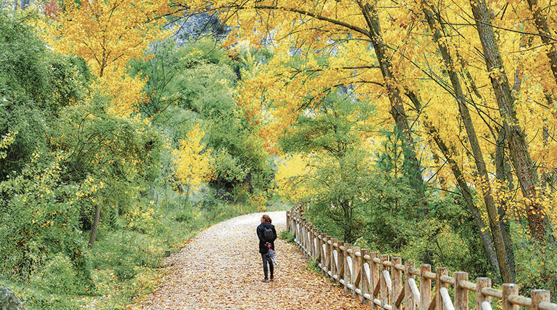 Lo colores de Cuenca en Otoño