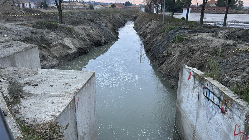 Arroyos guatén y Boadilla 2