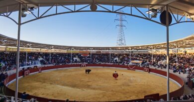 II corrida de toros en Villaseca, a favor de la Fundación Oncohematologia Infantil del “Hospital Niño Jesús”. El Ayuntamiento de Villaseca de la Sagra Solidaria