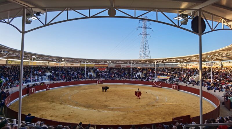 II corrida de toros en Villaseca, a favor de la Fundación Oncohematologia Infantil del “Hospital Niño Jesús”. El Ayuntamiento de Villaseca de la Sagra Solidaria