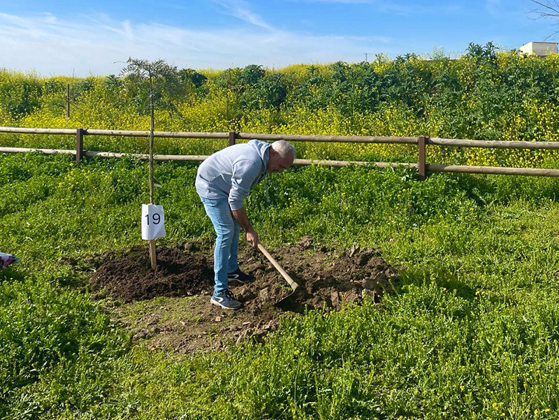 Plantación de árboles en Pantoja