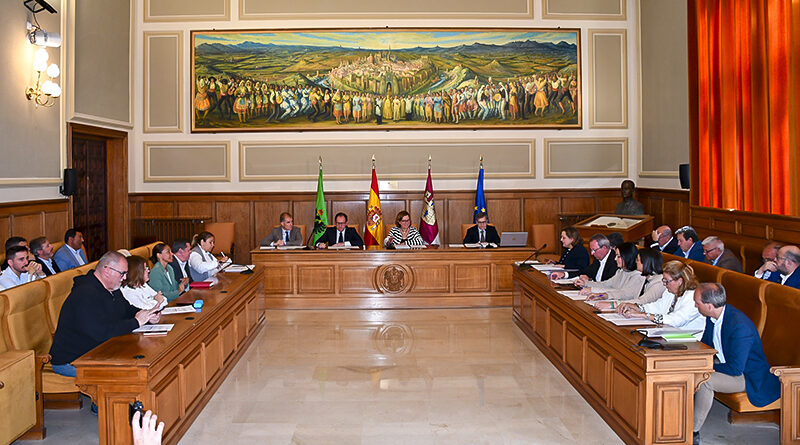 Pleno de la Diputación para mejorar la economía local