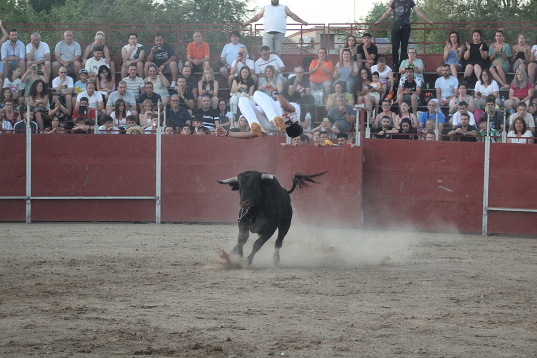 Concurso de recorte Fiestas de YUncler (10)