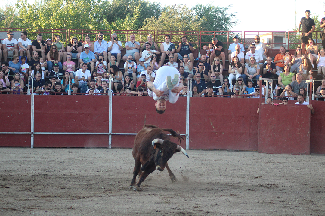 Concurso de recorte Fiestas de YUncler (5)