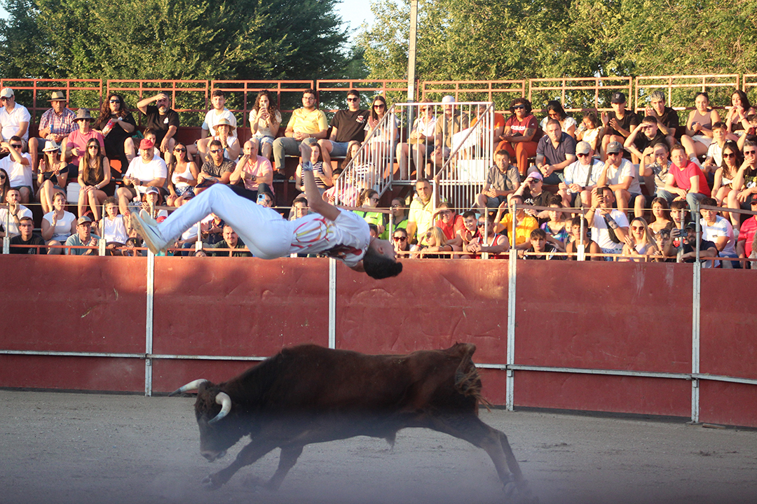 Concurso de recorte Fiestas de YUncler (6)