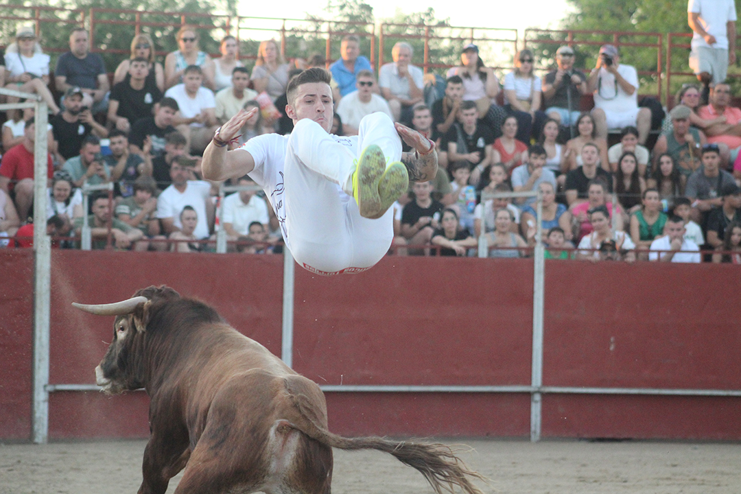 Concurso de recorte Fiestas de YUncler (7)