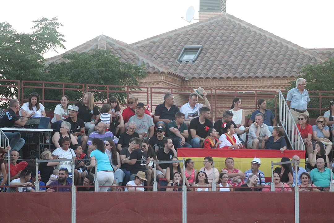 Concurso de recorte Fiestas de YUncler (9)