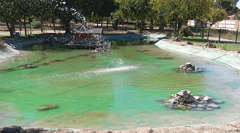 Parque cubas de la Sagra, fuentes y estanques