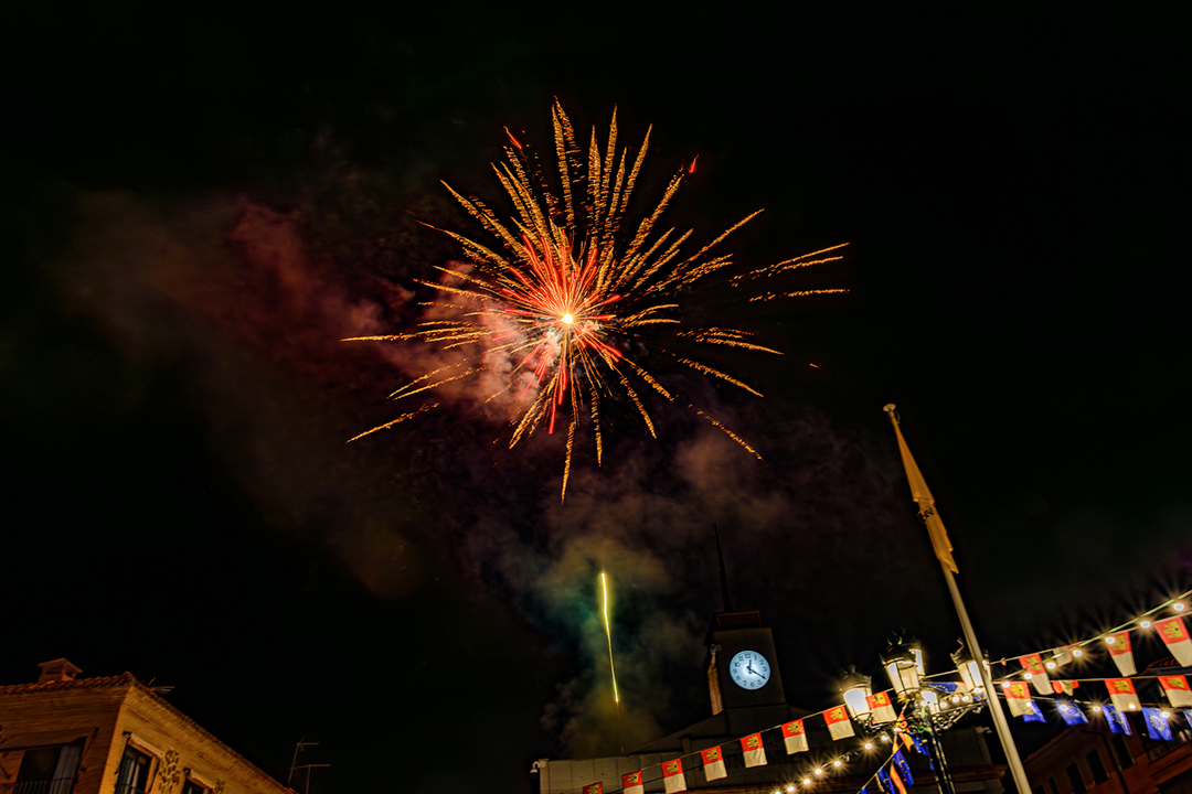 Desfile de disfraces - Magán-251