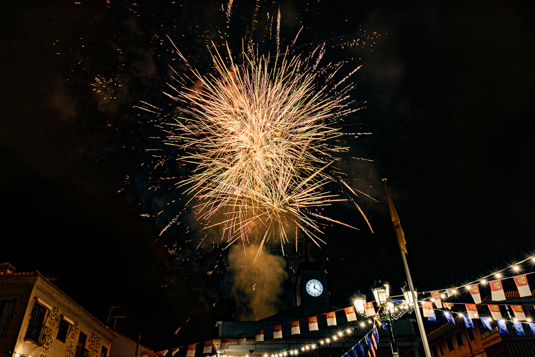 Desfile de disfraces - Magán-258