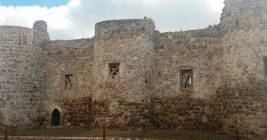 Castillo de Puñonrostro en Torrejón de Velasco