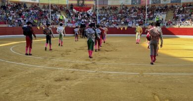 Certamen Alfarero de plata