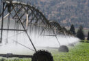 Internet de las cosas para el riego agrícola en España