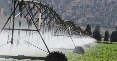 Internet de las cosas para el riego agrícola en España