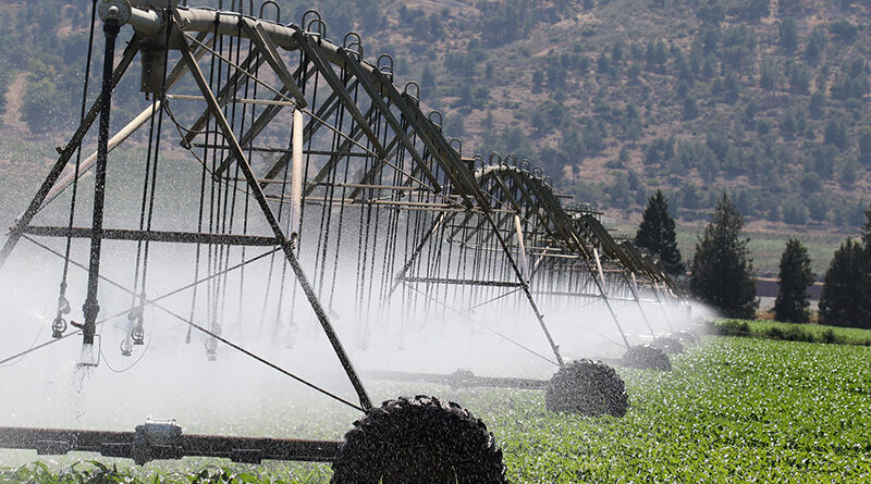 Internet de las cosas para el riego agrícola en España