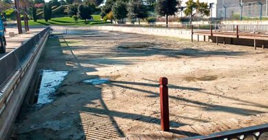 Limpieza Lago Parque María Audena