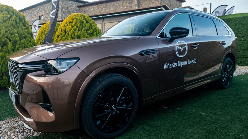 Reportaje Viñarás (4) Reportaje Viñarás (4)