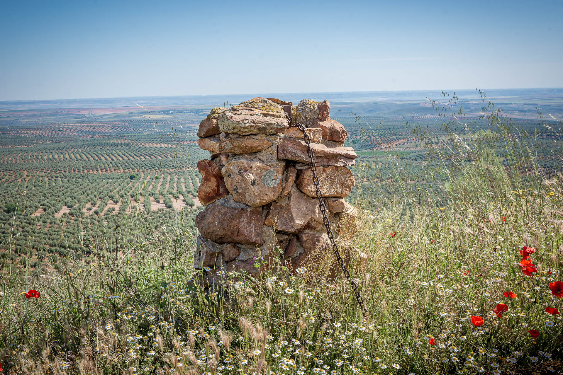 Castillo de Mora 2025 - 005