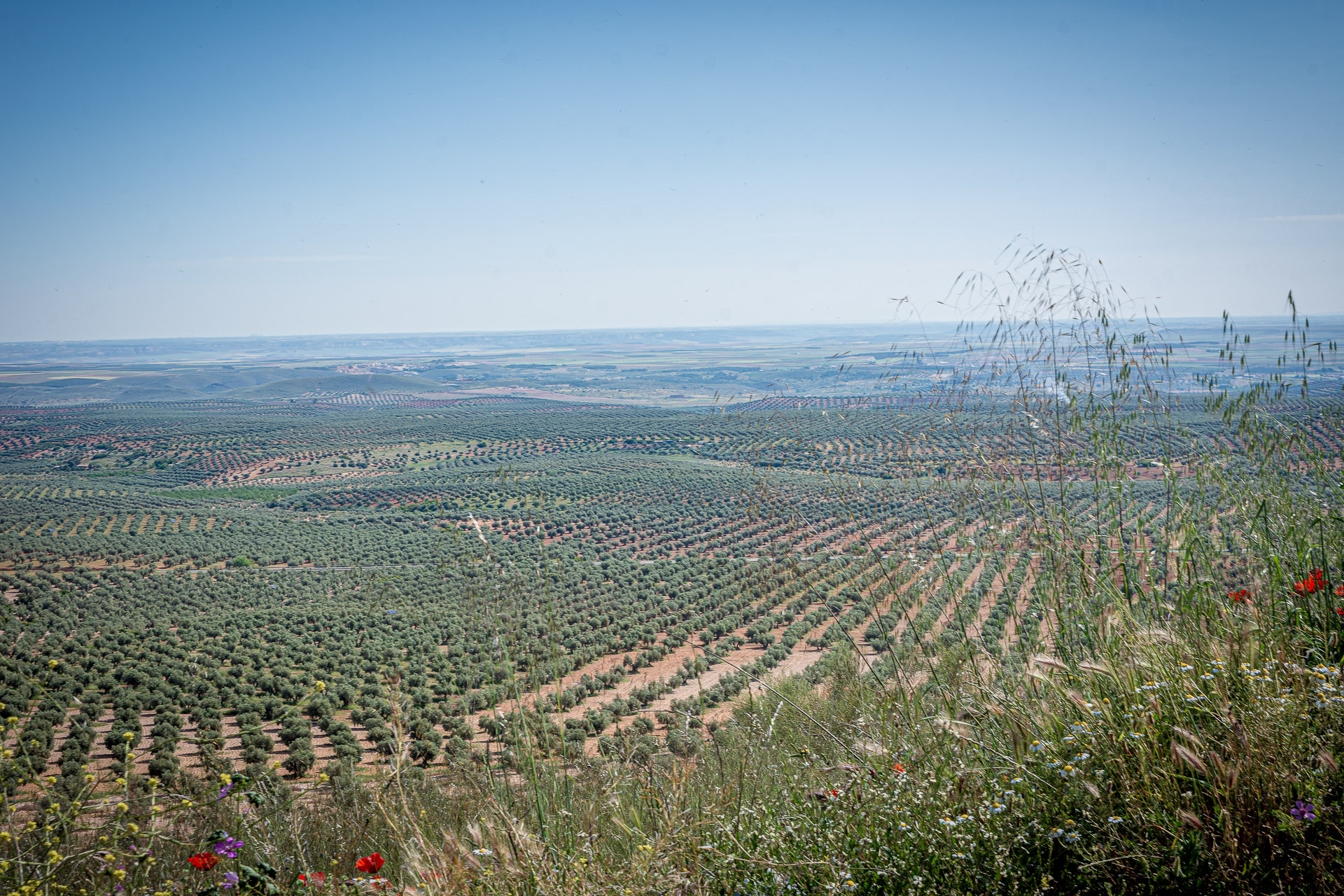Castillo de Mora 2025 - 006