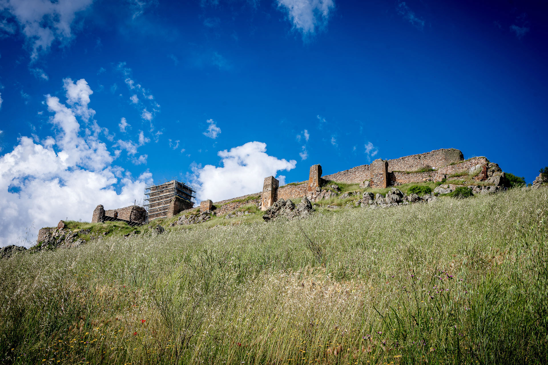 Castillo de Mora 2025 - 007